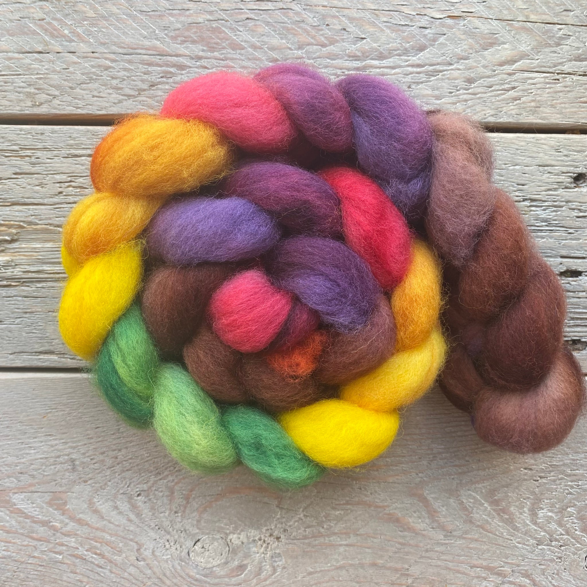 Autumnal dyed BFL Wool Roving